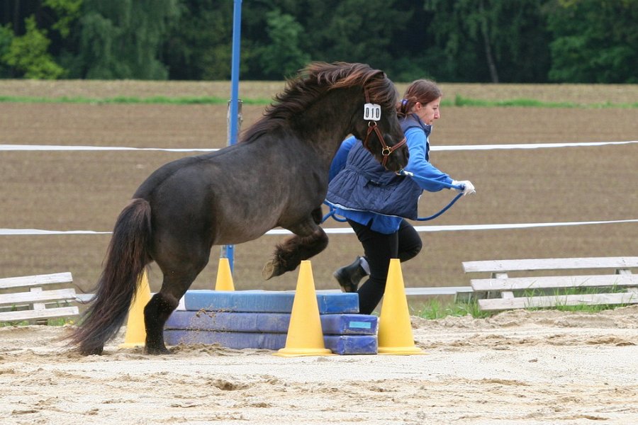 RC Engkofen 2010 69