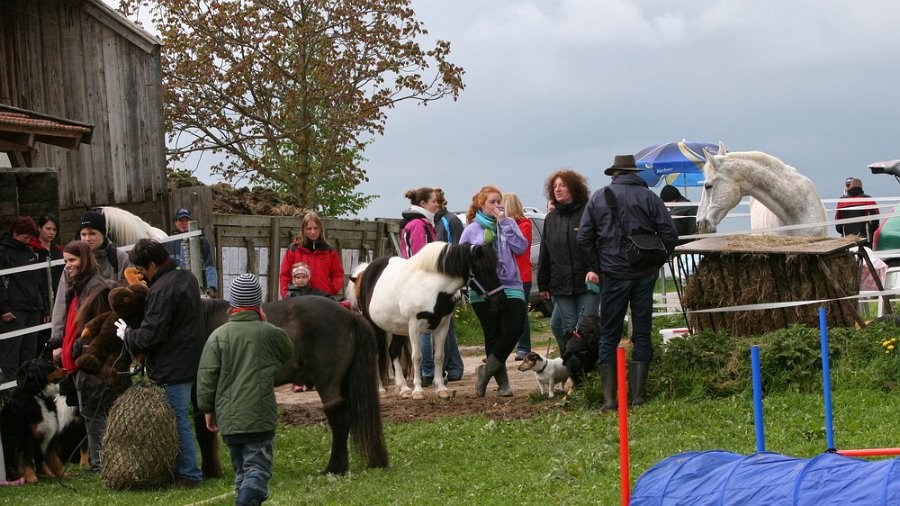 RC Engkofen 2010 70