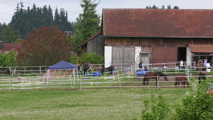 RC Engkofen 2010 71