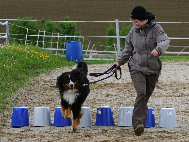 RC Engkofen 2010 76