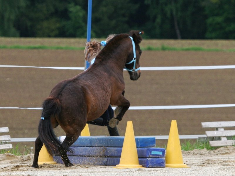 RC Engkofen 2010 95