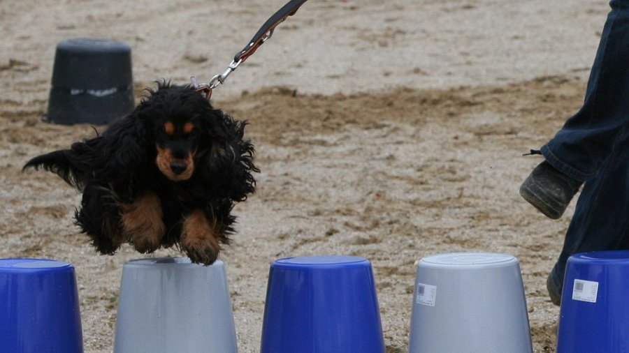 RC Engkofen 2010 96