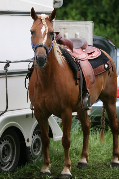 Thalmeier-Ranch 2010 003