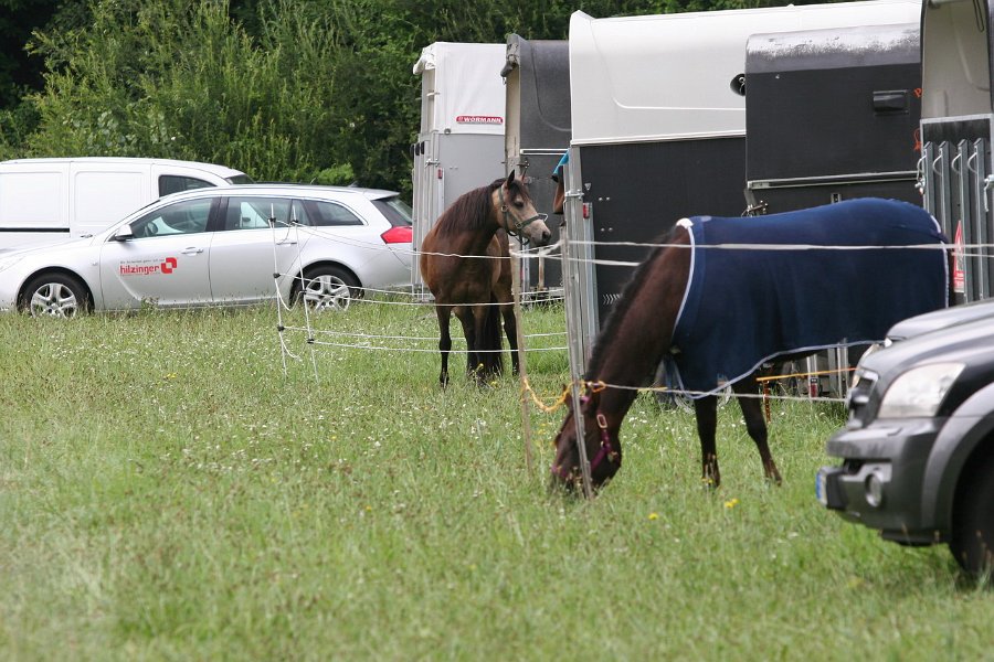 Thalmeier-Ranch 2010 028
