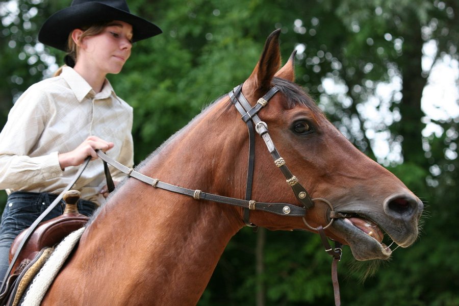 Thalmeier-Ranch 2010 053