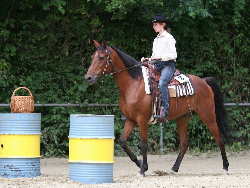Thalmeier-Ranch 2010 054