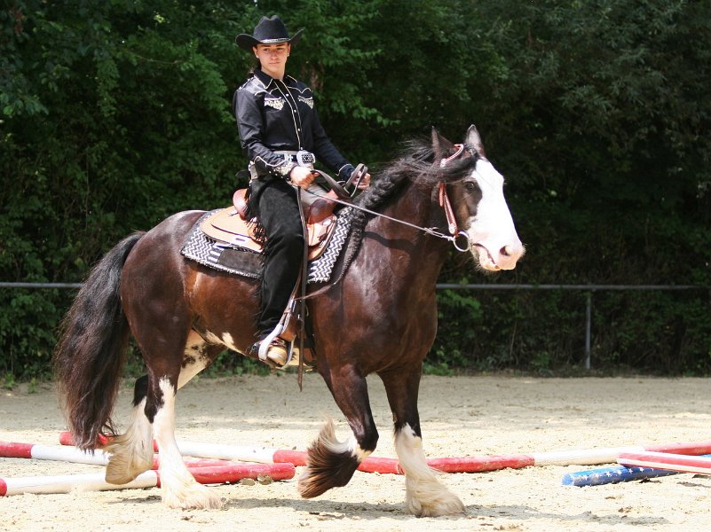 Thalmeier-Ranch 2010 069