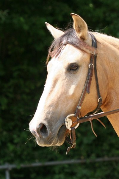 Thalmeier-Ranch 2010 078