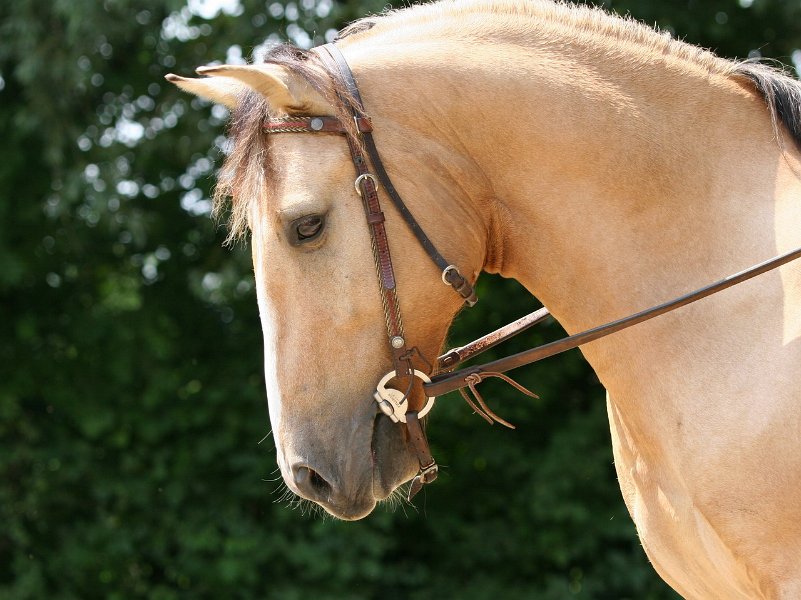 Thalmeier-Ranch 2010 079