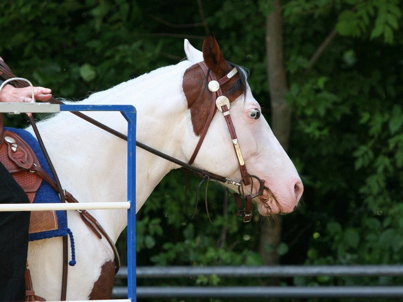 Thalmeier-Ranch 2010 080