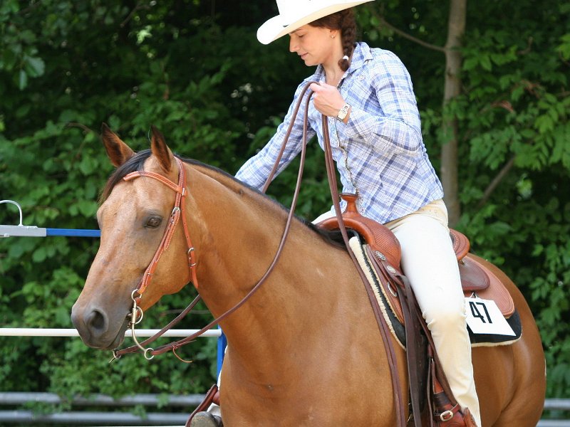 Thalmeier-Ranch 2010 084