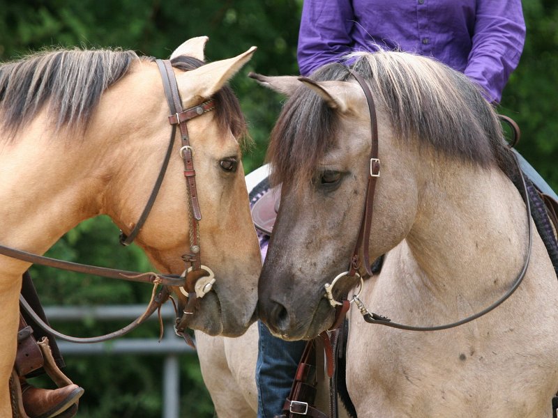 Thalmeier-Ranch 2010 090