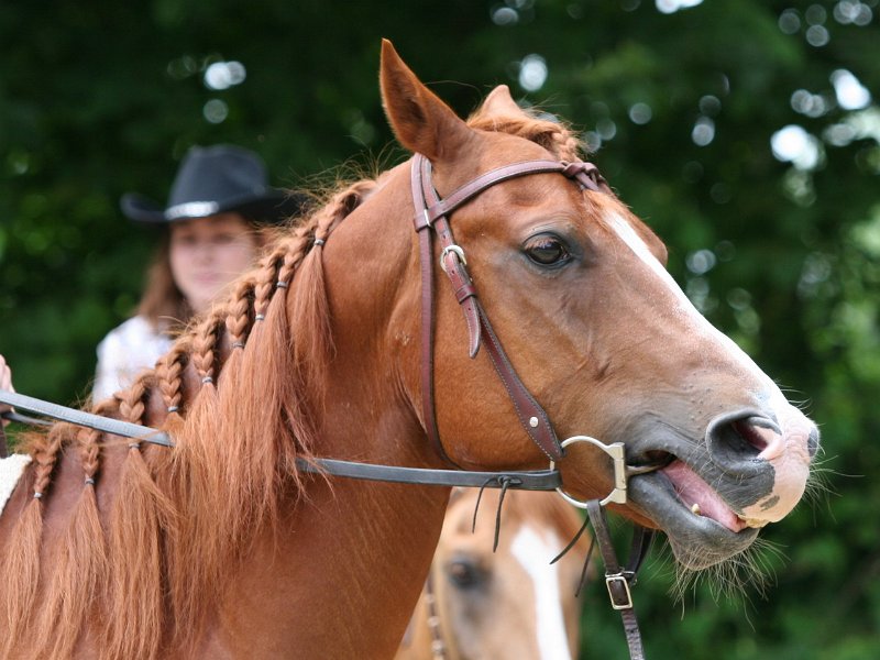 Thalmeier-Ranch 2010 092