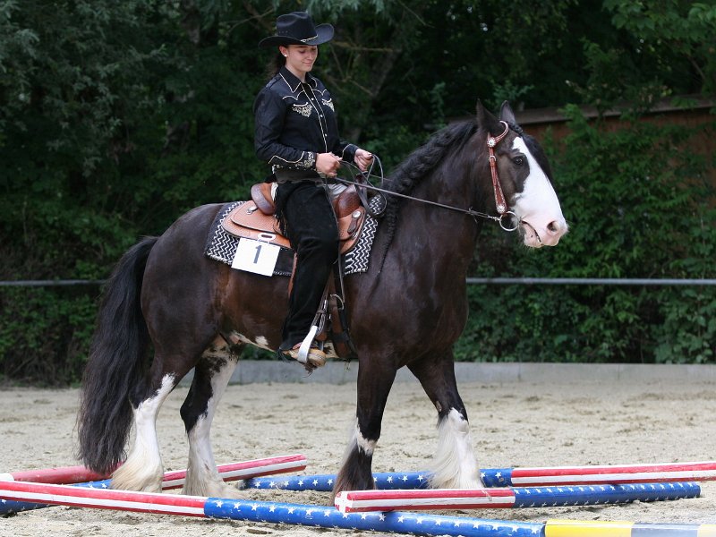 Thalmeier-Ranch 2010 100