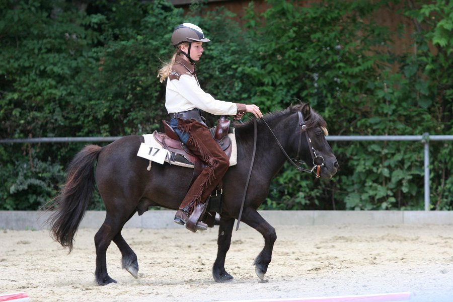 Thalmeier-Ranch 2010 106