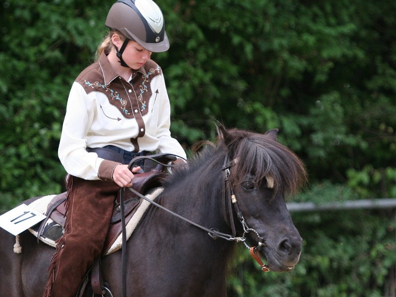 Thalmeier-Ranch 2010 108