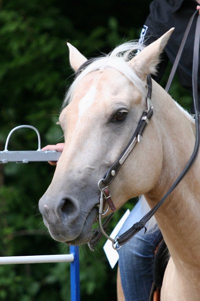 Thalmeier-Ranch 2010 121