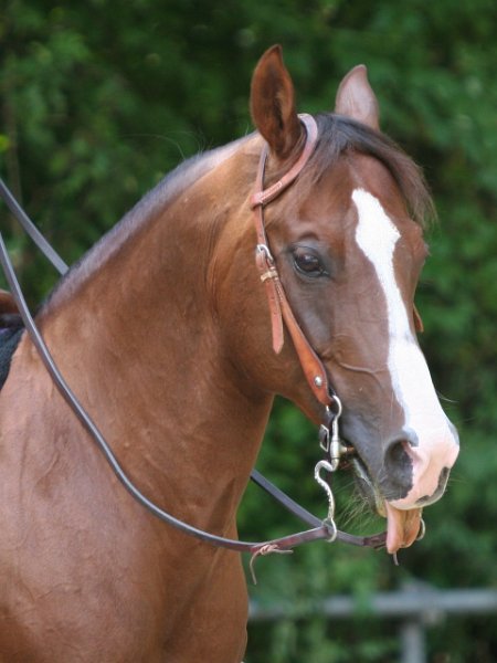 Thalmeier-Ranch 2010 126