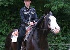 Thalmeier-Ranch 2010 009