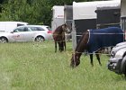 Thalmeier-Ranch 2010 028