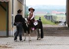 Thalmeier-Ranch 2010 030