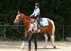 Thalmeier-Ranch 2010 034