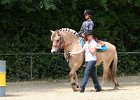 Thalmeier-Ranch 2010 036