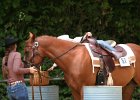 Thalmeier-Ranch 2010 045