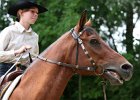 Thalmeier-Ranch 2010 053
