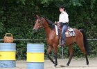 Thalmeier-Ranch 2010 054