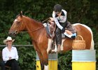 Thalmeier-Ranch 2010 056