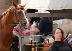 Thalmeier-Ranch 2010 066