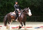 Thalmeier-Ranch 2010 069