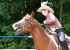 Thalmeier-Ranch 2010 073