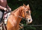 Thalmeier-Ranch 2010 074