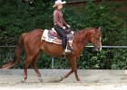 Thalmeier-Ranch 2010 075