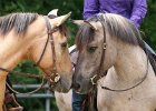 Thalmeier-Ranch 2010 090
