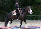 Thalmeier-Ranch 2010 100
