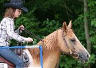 Thalmeier-Ranch 2010 112