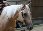 Thalmeier-Ranch 2010 118