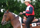 Thalmeier-Ranch 2010 131