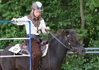 Thalmeier-Ranch 2010 135