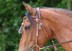 Thalmeier-Ranch 2010 136