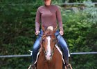 Thalmeier-Ranch 2010 139