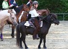 Thalmeier-Ranch 2010 144