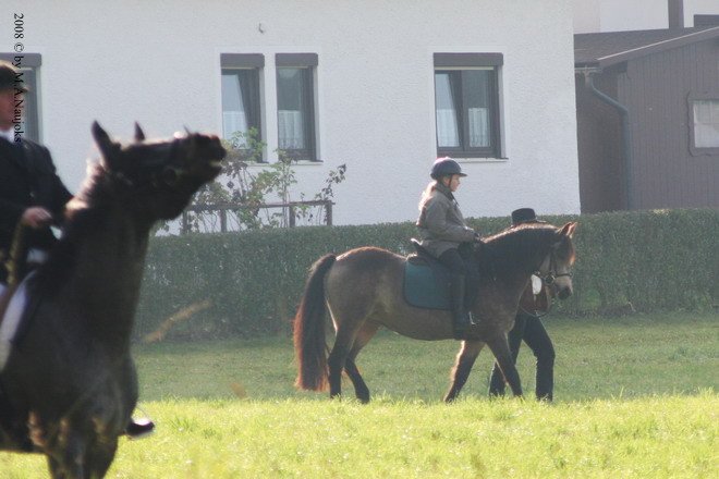Haberskirchen 2008 003