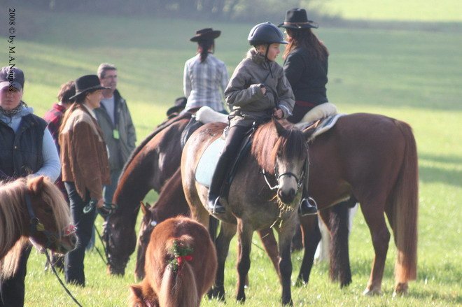 Haberskirchen 2008 006