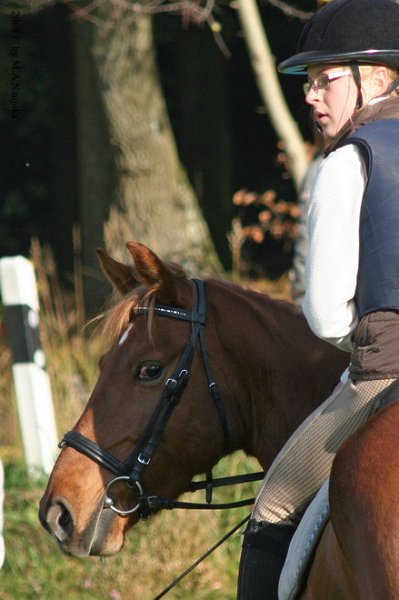 Haberskirchen 2008 021