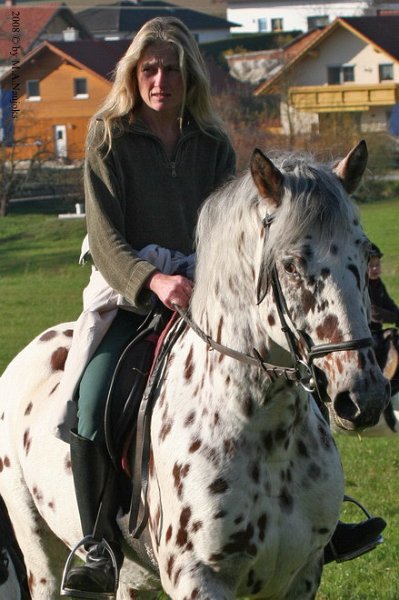 Haberskirchen 2008 024