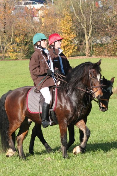 Haberskirchen 2008 028